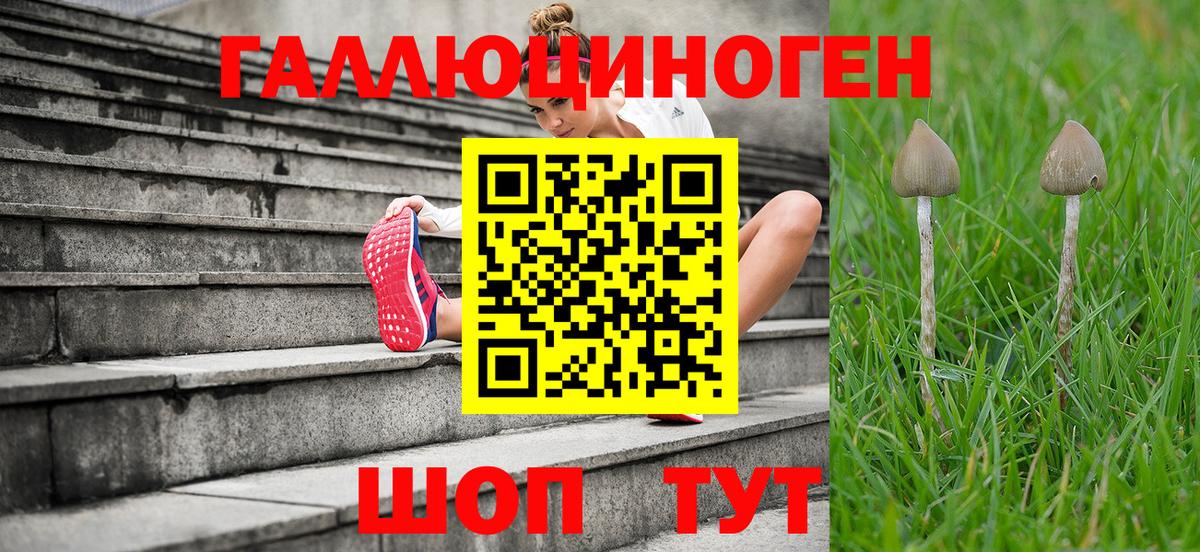 Галлюциногенные грибы GOLDEN TEACHER Калининград