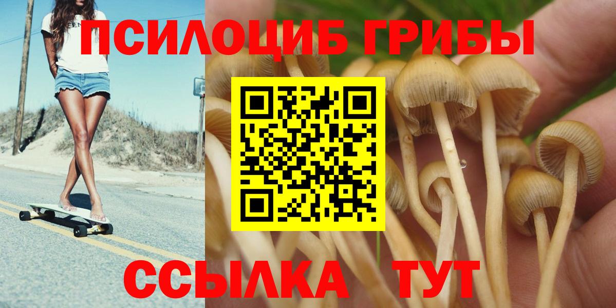 Калининград  Псилоцибиновые грибы Cubensis  наркотики  Вход с VPN 